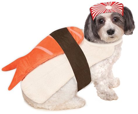 Rubie's Sushi Pet Costume, Medium - Dog Costumes Sushi Costume Womens, Homemade Dog Costumes, Sushi Dog, Best Dog Halloween Costumes, Sushi Costume, Costumes For Cats, Halloween Costumes For Dogs, Dog Treats Recipes, Costumes For Dogs