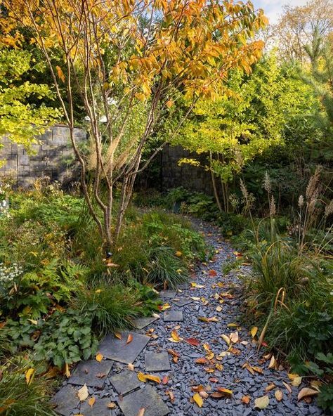 Stefano Marinaz Garden, Deschampsia Cespitosa Goldtau, Woodland Edge Garden, Stefano Marinaz, Calamagrostis Brachytricha, Woodland Planting, Deschampsia Cespitosa, Edge Garden, Woodland Wonderland