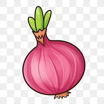 onion clipart,deep-red color,sprout,fresh,one,one clipart,sprout clipart File Cover Decoration Ideas Project School, Onion Clipart, Onion Drawing, Red Color Background, Holiday Homework, Kaos Oblong, Colorful Vegetables, Red Bedding, Poster Background Design