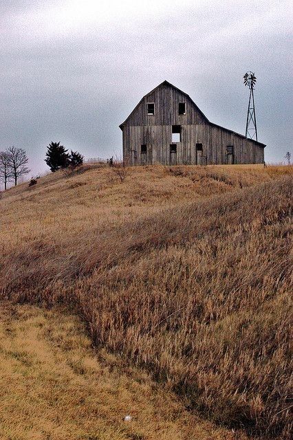 Old wooden barn with windmill in background in a wheat field. Barn Pictures, Country Barns, Barns Sheds, Farm Barn, Old Barns, Old Farm, Old Barn, Barn Quilts, Abandoned Buildings