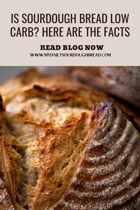 Sour Dough Bread Nutrition, Sourdough Low Carb Recipes, Cardiologist Bread Recipe, Is Sourdough Bread Healthy, High Fiber Sourdough Bread, Bread Inclusion Ideas, Keto Sourdough Recipes, Sourdough Benefits Health, Health Benefits Of Sourdough Bread