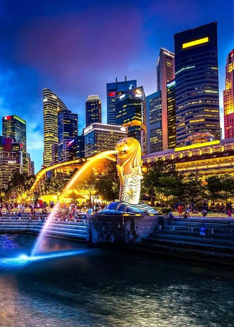 Singapore Background, Nature And Human, Lavish Lifestyle, Visit Chicago, Skyscraper Architecture, City Landscape, Real Estate Business, Night City, City Aesthetic