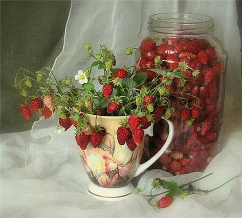 Wild Strawberries, Strawberry Fields, Cottagecore Aesthetic, Red Aesthetic, Pretty Food, Country Life, Pretty Pictures, Strawberries, Cottage