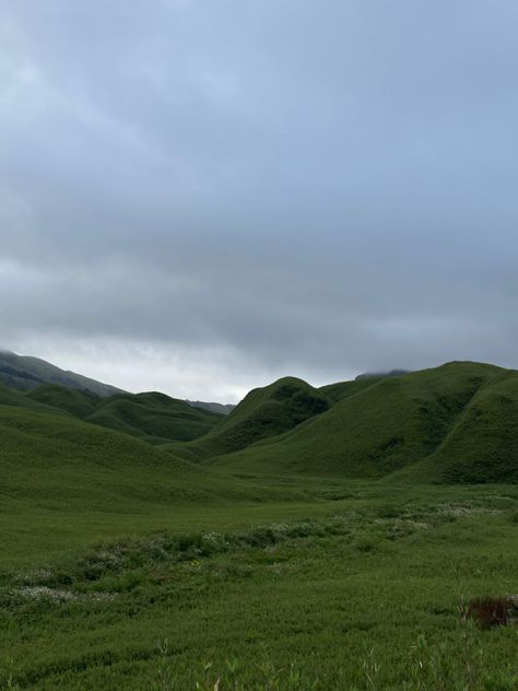 Dzukou Valley