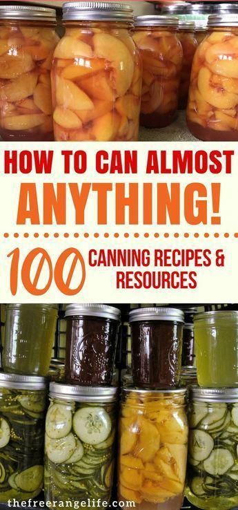 Homestead Pantry, Canning Water, Food In Jars, Canning 101, Canning Fruit, Home Canning Recipes, Canning Vegetables, Canning Food Preservation, Canned Food Storage