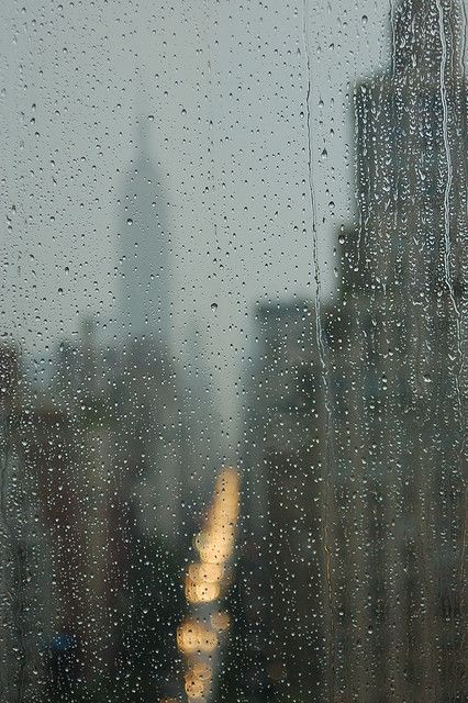 new york #rain light lightings New York Rain, Love Rainy Days, I Love The Rain, Love The Rain, I Love Rain, Voyage New York, Love Rain, Walking In The Rain, Rain Rain