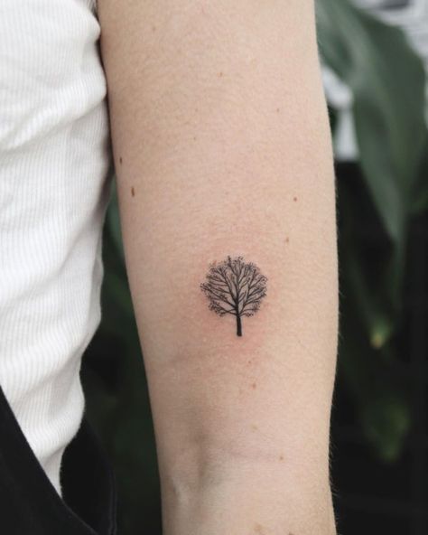 Oak Tree Tattoo Designs And Ideas Dainty Tree Tattoos For Women, Modern Small Tattoos, Apple Tree Tattoo Simple, Small Olive Tree Tattoo, Orange Tree Tattoo Minimalist, Minimalist Tree Tattoo With Roots, Tiny Tree Tattoos For Women, Micro Tree Tattoo, Minimalist Oak Tree Tattoo