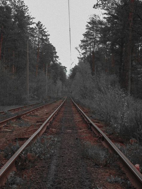 Railroad in the forest Railroad Aesthetic, Trains Aesthetic, Inktober Ideas, Vintage Railroad, Pixel Art Tutorial, Melodrama, Art Photos, Art Tutorial, Go Fund Me