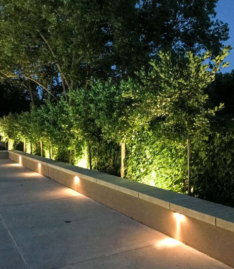 Fence Around Pool, Architects Portfolio, Retaining Wall Design, Privacy Landscaping, Landscape Elements, Wall Seating, Exterior Wall Light, Fence Landscaping, Landscape Architects