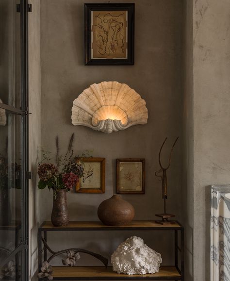 Collection | Cox London Vintage Corner, Shell Light, Room Deco, Scallop Shell, Unique Lighting, Dream House Decor, Interior Inspo, Dream Home Design, House Inspiration