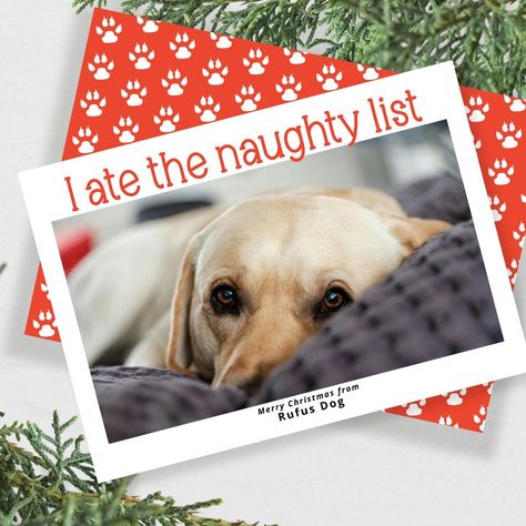 I Ate The Naughty List Dog Christmas Photo Holiday Card Christmas Card With Dog, Dog Christmas Photos, Christmas Pickle, Christmas Card Messages, Personalized Holiday Cards, Christmas Clock, Dog Christmas Card, Wrapping Paper Design, Christmas Coasters