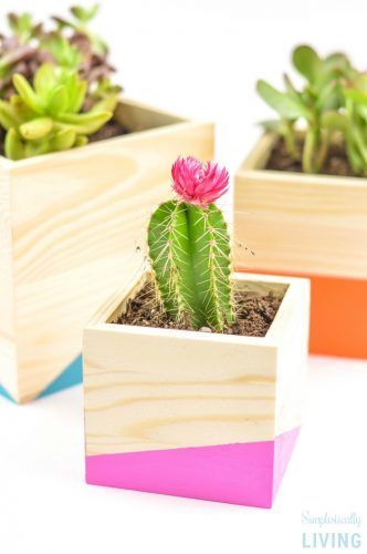 DIY Color Block Wood Planter2 Diy Wood Planters, Summer Diy Projects, Wood Projects Plans, Wood Projects For Beginners, Wood Crafting Tools, Wood Planter, Wood Projects That Sell, Scrap Wood Projects, Learn Woodworking