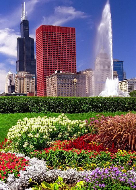 Grant Park Chicago, Chicago Wallpaper, Chicago Flowers, City Puzzle, Chicago Living, Buckingham Fountain, Sears Tower, Visit Chicago, Chi Town