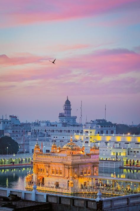 Amritsar Photos, Download The BEST Free Amritsar Stock Photos & HD Images Golden Temple Amritsar Photography Hd, Aesthetic Pink Wallpapers, Gurudwara Sahib Wallpaper, Harmandir Sahib Photography, Pink Aesthetic Wallpapers, Cute Pink Aesthetic, Golden Temple Wallpaper, 50 Aesthetic, Golden Temple Amritsar