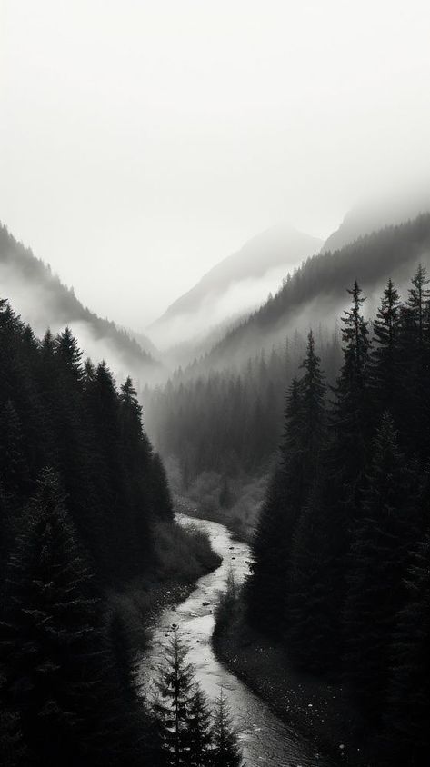 Photography of forest with mountains wilderness monochrome outdoors. | premium image by rawpixel.com / Aew Nature Wallpaper Mountains, Monochrome Wallpaper Iphone, Wallpaper Black Dark, Black Dark Wallpaper, Mountain Iphone Wallpaper, Forest With Mountains, Forest Mountain Landscape, Iphone Wallpaper Mountains, Minimalist Iphone Wallpaper