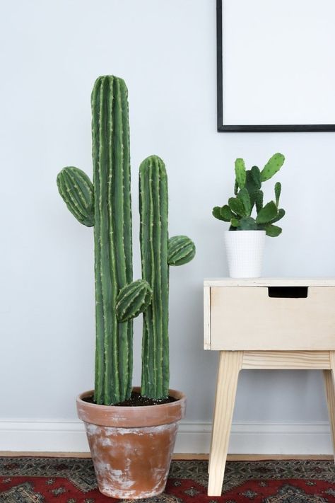 Fake Cactus, Kaktus Dan Sukulen, Cactus House Plants, Cactus Craft, Faux Cactus, Cactus Diy, Cute Cactus, Cactus Decor, Last Friday