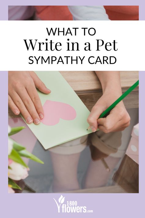 Diy Dog Sympathy Card, Pet Sympathy Messages, Pet Loss Sympathy Card, Dog Sympathy Card Loss Of Pet Handmade, Pet Sympathy Quotes Dogs, Cat Sympathy Cards Handmade, Pet Dies Quotes Dogs, Loss Of Pet Dog Sympathy Cards Diy, Loss Of Pet Cat Sympathy Cards