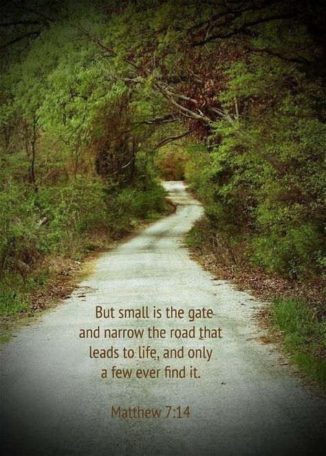 Let me choose the narrow path Road Of Life Quotes, Matthew 22, Romans 10, Narrow Path, Jehovah's Witnesses, Biblical Quotes, Faith Inspiration, God Loves Me, Scripture Quotes