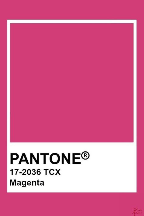 Magenta Color Pantone, Majenta Color Pallete, Pantone Magenta 2023, Magenta Colour Palette, Fuschia Pantone, Magenta Paint Colors, Magenta Color Palette, Falling Background, Viva Magenta Color