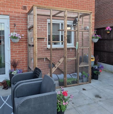 A catio designed for a small garden. Accessible from window. Catio Attached To Window, Small Window Catio, Small Catio Cats, Small Catio Ideas Cat, Cat Room Indoor, Catios For Cats Window, Cat Room Ideas Small Spaces, Cat Rooms Indoor, Indoor Cat Room Ideas