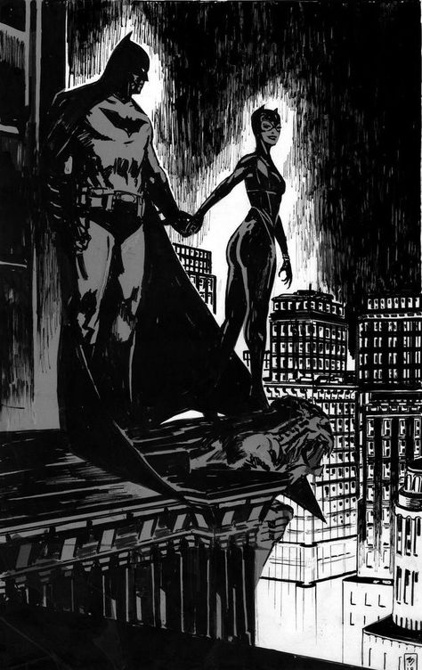 Catwoman - Album on Imgur Logo Batman, Catwoman Comic, Bat Cat, Dc Comics Wallpaper, Batman Poster, Batman Arkham City, Batman Arkham Knight, Batman Artwork, Batman And Catwoman