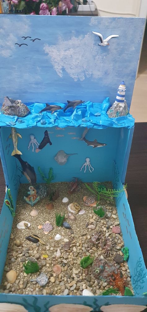 Marine Biome Project, Ocean Model Project, Ocean Habitat Diorama School Projects, Sea Habitat Project For Kids, Aquarium Model Projects, Sea Diaroma, Ecosystems Projects Shoebox Ocean, Aquatic Ecosystem Project, Marine Ecosystem Project