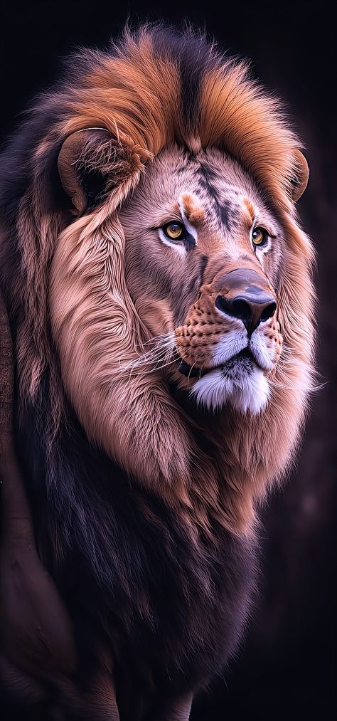 3d Lion Wallpaper, Ultra Hd 8k Wallpaper Lion, Lion Hd Wallpaper 1080x1920, 3d Wallpaper Lion, Lion Background Wallpapers, Standing Lion Wallpaper, Lion Wallpapers, Lion Hd Wallpaper, Hd Photography