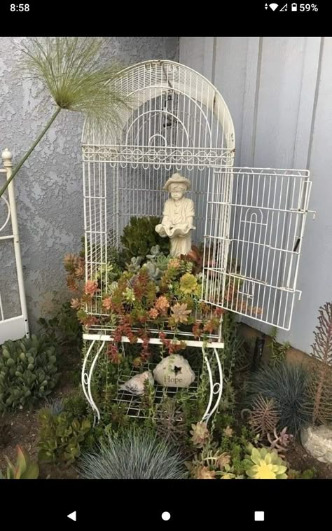 Vintage Bird Cage Decor, Birdcage Planter, Bird Cage Decor, Succulent Garden Diy, Living Room Cozy, Vintage Bird Cage, Garden Decor Projects, Home Backyard, Have Inspiration