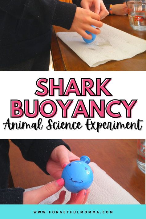 Fish Activities For Preschool Science, Zoo Animal Science Experiment, Animal Themed Science Experiments, Buoyancy Experiments For Kids, Shark Experiments For Kids, Shark Science Experiments For Kids, Shark Stem Activities For Kids, Shark Experiment, Animal Science Fair Projects