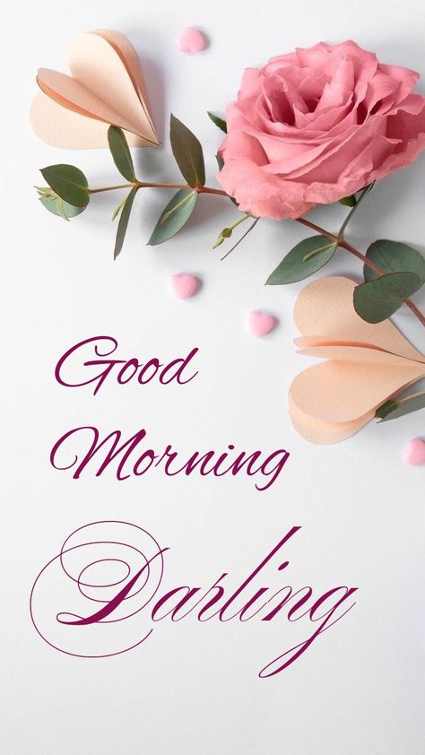 Good Morning Sweetheart Images, Good Morning Darling, Cute Morning Quotes, Good Morning Rose, Cute Morning, Good Morning Rose Images, Feather Illustration, Good Morning Sweetheart, Custom Sportster