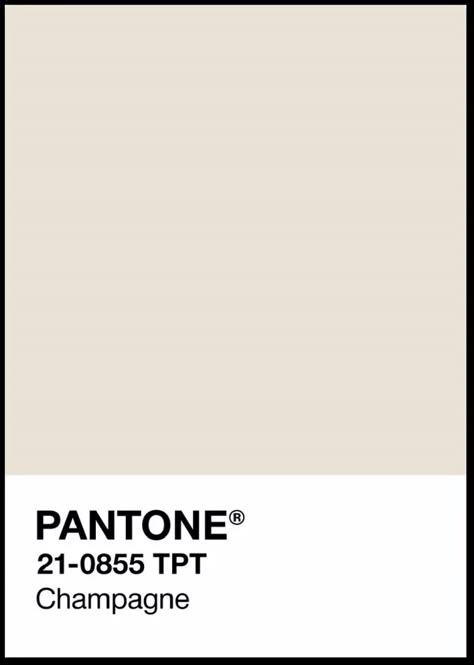 Pantone Champagne, Interior Wall Colors, Line Wall Art, Chelsea Wedding, Pantone Palette, Unique Gallery Wall, Dress Code Wedding, Champagne Tower, Summer Color Palette