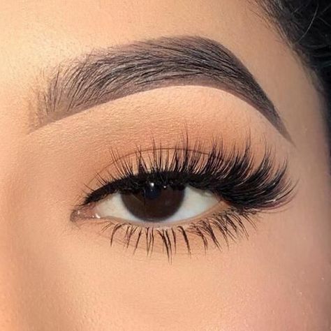 Simple Eyebrows, Eyelash Extensions Styles, Lash Extensions Styles, Perfect Eyelashes, Pretty Lashes, Eyelash Extentions, Eyelash Tools, Models Makeup, Make Up Looks