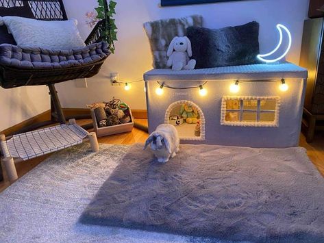 Rabbit Cage Decoration Ideas, Rabbit Set Up Indoor Diy, Rabbit Cage Decor, Rabbit Cages Ideas, Diy Bunny House Indoor Rabbit, Bunny Habitats Indoor, Small Bunny Cages In Bedroom, Bunny X Pen, Cute Bunny Enclosure