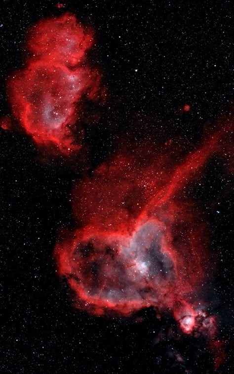 Heart And Soul Nebula, Heart Nebula, Rosette Nebula, Planet Pictures, Cosmos Space, Galaxies Wallpaper, Space Phone Wallpaper, James Webb, Nebulas