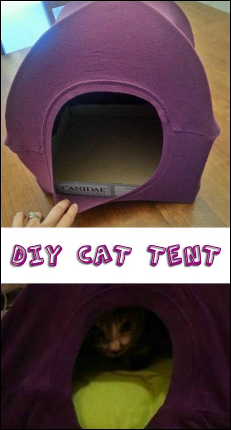 All You Need is a Large T-Shirt, Two Hangers, And Pliers to Make This DIY Cat Tent Diy Cat Tent How To Make, Diy Cat Teepee, Cat Playground Diy, Diy Old Tshirts, Playground Diy, Diy Cat House, Cat Rooms, Hamper Diy, Diy Cat Hammock