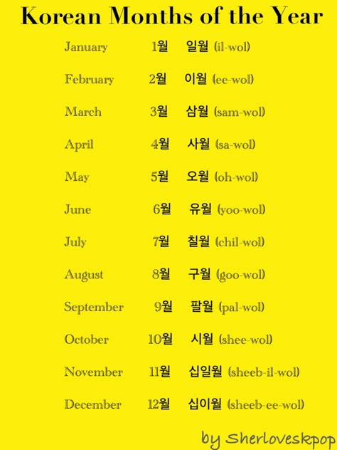 Korean months of the year- I didn't realize it was this easy! I'm so excited!! Korean Months Of The Year, Hangul Pronunciation, Months In Korean, Korean Slang, Easy Korean Words, Learn Korean Alphabet, Materi Bahasa Jepang, Learn Korea, Korean Writing