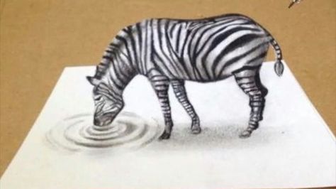 3d Illusion Drawing, 3d Drawing Techniques, Zebra Drawing, 3d Pencil Drawings, Trick Art, Epic Drawings, Illusion Drawings, 3d Art Drawing, 3d Drawings