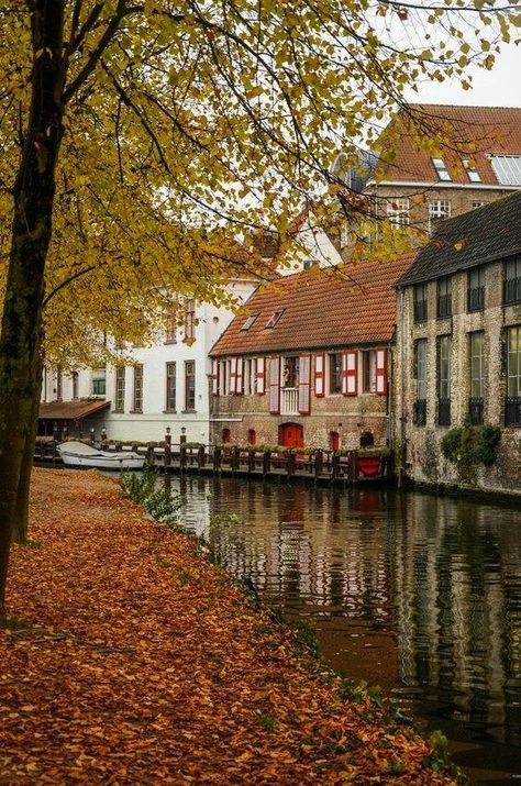 🍁Autumn🍂in Bruges, Belgium 🇧🇪 Beautiful Cityscapes, Brugge Belgium, Chris Taylor, Bruges Belgium, Adventure Travel Explore, Belgium Travel, Chicago Photography, Autumn Scenes, Dream Travel Destinations