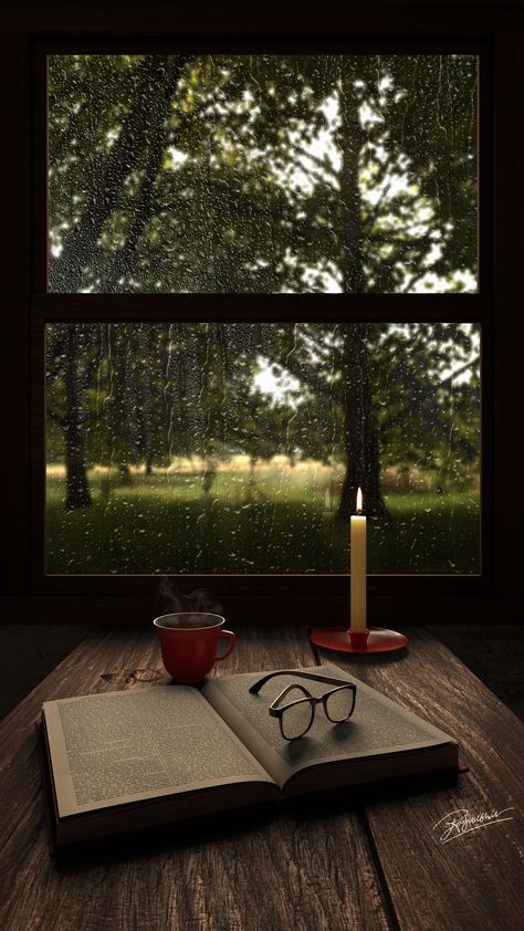 Rainy Day Photography, Rainy Window, Cozy Rainy Day, Rainy Day Aesthetic, Rain Wallpapers, Dark Nature Aesthetic, Book Wallpaper, Aesthetic Pics, Nature Gif