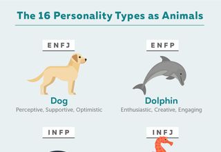 16 Personalities Funny, Mbti As Animals, Animal Personality Types, Mbti Animals, Esfj Personality, Disc Personality, Infp T Personality, Enfj Personality, 16 Personality Types