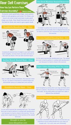 Rear Delt Exercises  Rear Delt Exercises for muscle building. Do these exercises at home or gym. #bodybuilding #musclebuilding #exercise #muscle #tikkaykhan #mensexercises Delt Exercises, Delts Workout, Rear Delt Exercises, Deltoid Workout, Quinoa Benefits, Exercise Muscle, Exercises At Home, Rear Delt, Lower Back Pain Exercises