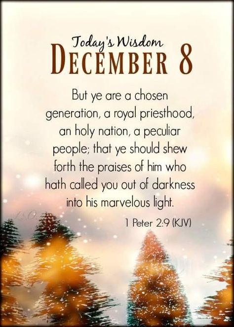 December 8 Blessings, December Verses, December Greetings, Bible Calendar, December Prayers, December Blessings, December Scriptures, December Images, Welcome December