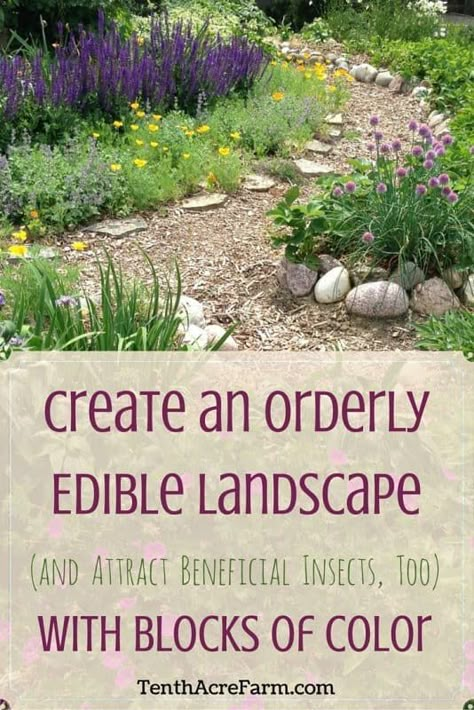 Edible Landscape, Attracting Beneficial Insects, Edible Landscaping, Have Inspiration, Home Landscaping, Landscaping Tips, Beneficial Insects, Garden Landscape Design, Food Garden