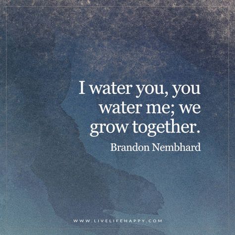 Live Life Happy: I water you, you water me; we grow together. - Brandon Nembhard Funny Love Quotes For Husband, Love Quotes For Husband, We Grow Together, Funny Love Quotes, Water Quotes, Together Quotes, Live Life Happy, Love Husband Quotes, Water Me