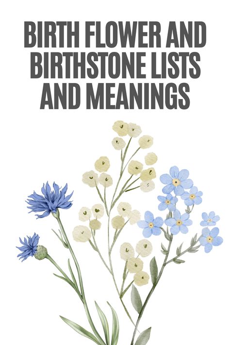 Birth Flowers By Month & Their Meanings Different Flowers And Their Meanings, Monthly Birthstones, Birth Flowers By Month, Flowers By Month, Flowers And Their Meanings, Birth Month Colors, April Birth Flower, Birthstones By Month