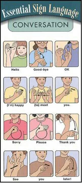 Hello is easy Learn Asl, Sign Language Chart, Sign Language Phrases, Materi Bahasa Jepang, Sign Language Words, Asl Learning, Asl Sign Language, Sign Language Alphabet, Asl Signs