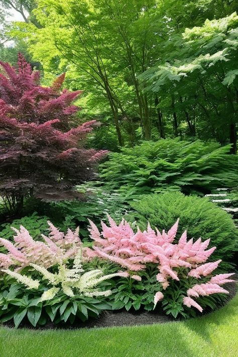 10 Best Shade Plants For Zone 8 Zone 8 Shade Plants, Zone 8 Shade Garden, Zone 5b Perennial Garden, Hardiness Zone 8b Plants, Shade Garden Front Of House, Zone 7 Perennials Garden Ideas, Zone 8 Landscaping Front Yards, Perennial Garden Ideas Full Sun, Year Round Plants Front Yards