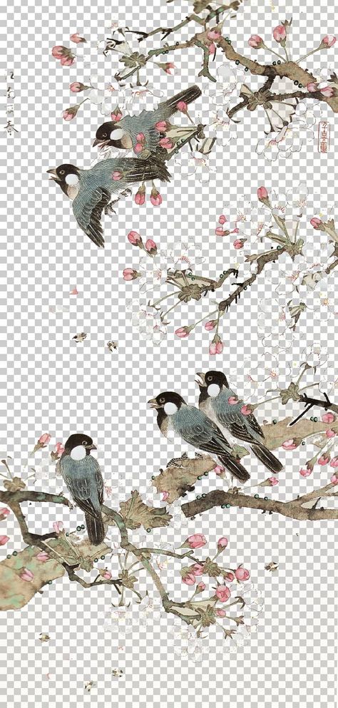 Chinese Art Illustration, Chinese Flower Illustration, Kotak Hampers, Chinese Flower Pattern, Chinese Flower Painting, Psychological Portrait, Chinese Birds, Bird Background, Chinese Tree