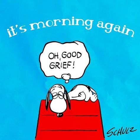 Halloween Lock Screen, Snoopy Good Morning, Peanuts Quotes, Charlie Brown Quotes, Good Morning Snoopy, Peanuts Charlie Brown Snoopy, Peanut Gang, Morning Memes, Snoopy Funny