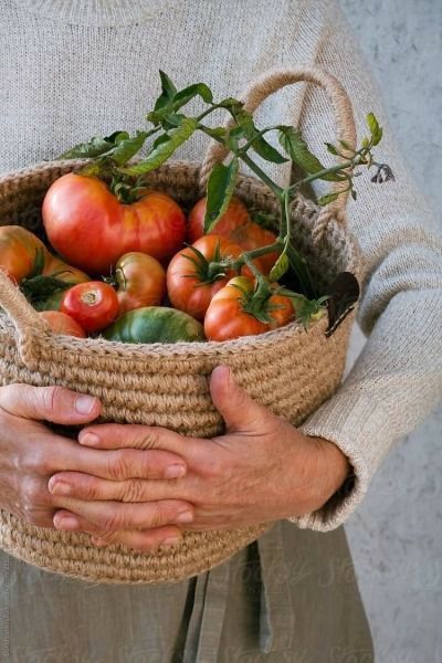 Pin by Judy Shoup on ~ Eat Your Veggies ~ My Kitchen Garden ~ in 2022 | Fruits and veggies, Nourishment, Veggie garden Kitchen Garden, Dream Garden, Sustainable Living, Country Living, Farm Life, Food Styling, Fruits And Vegetables, Garden Inspiration, Farmers Market